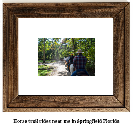 horse trail rides near me in Springfield, Florida